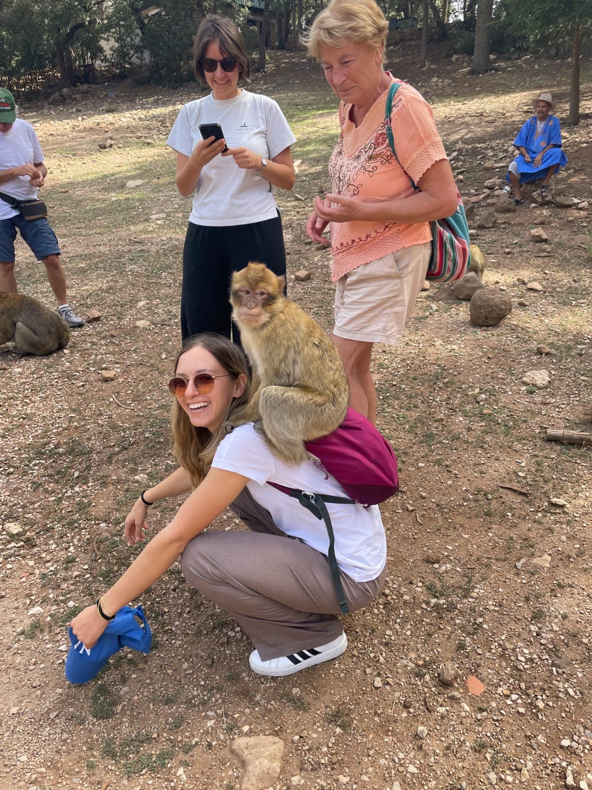 Rencontre avec les singes de l'Atlas