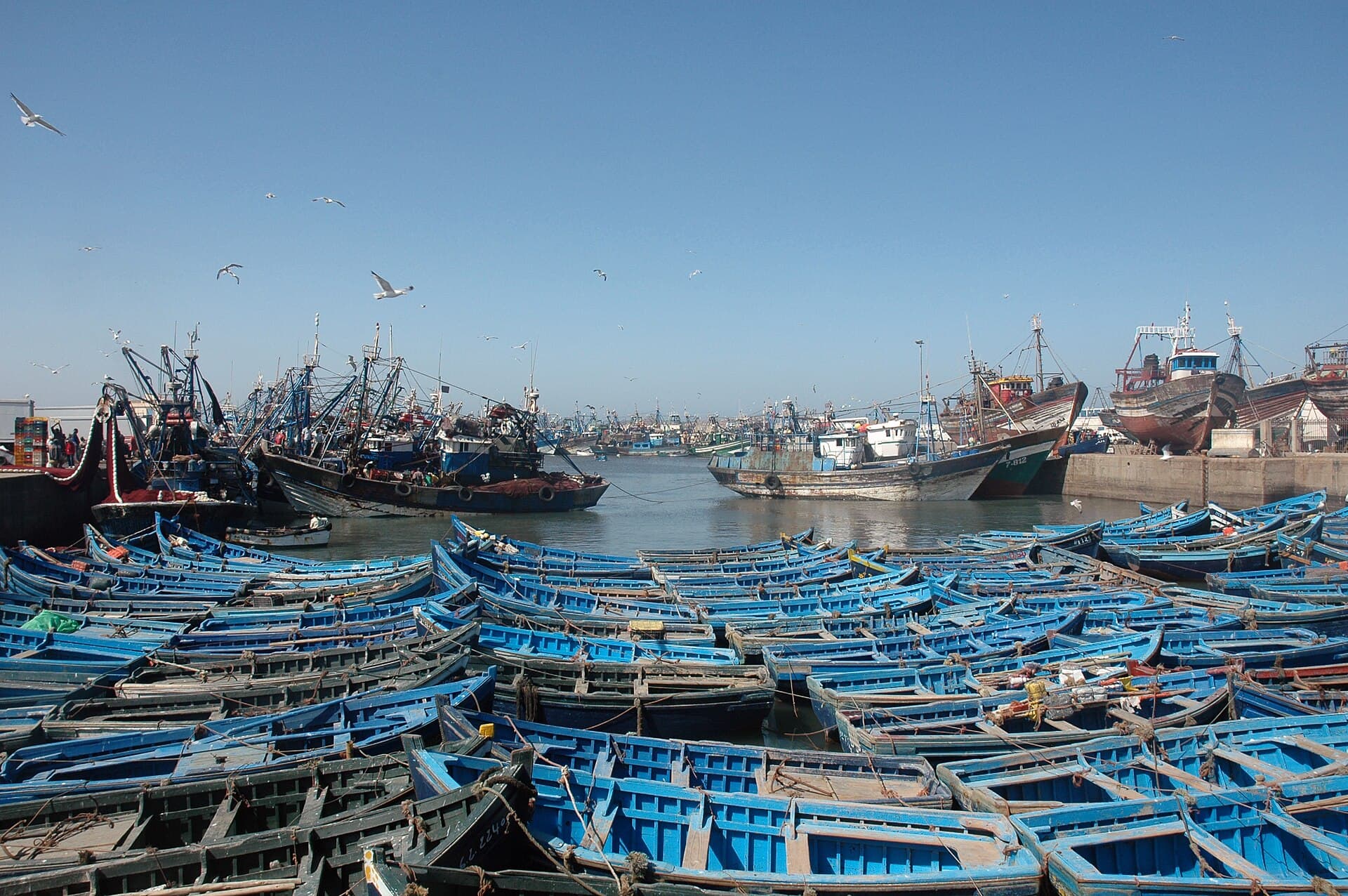 Excursion d'une journée de Marrakech à Essaouira — 1